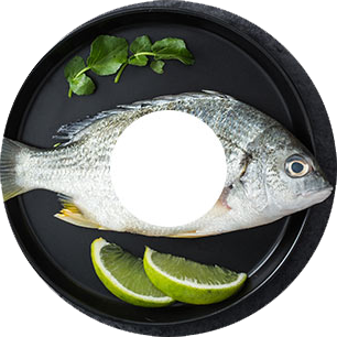 Ligne de repas de poisson